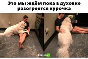 Не ищите здесь смысл. Здесь в основном маразм