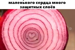 Скрины из соцсетей            