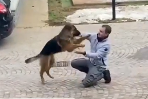 Собака встречает хозяина после долгой разлуки