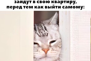 Не ищите здесь смысл. Здесь в основном маразм