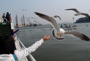 Намешалось&nbsp;