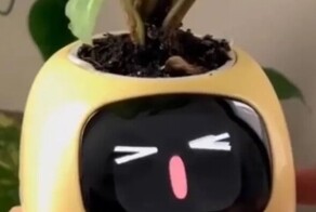 Умный цветочный горшок