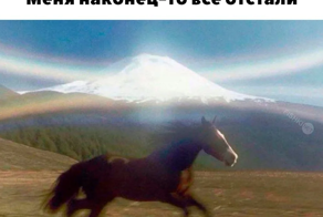 Не ищите здесь смысл. Здесь в основном маразм