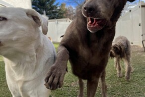 На общую тему&nbsp;