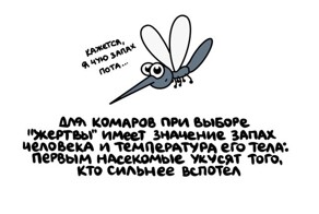 А вдруг ты не знал…