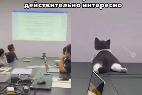 Не ищите здесь смысл. Здесь в основном маразм