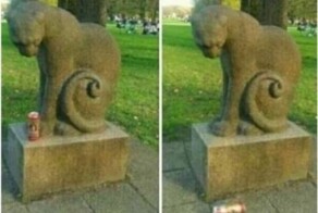 Намешалось