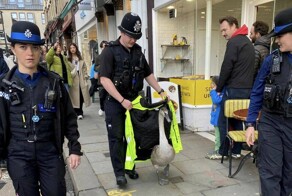 Всё вразнобой