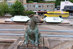 Особенная собака Пэтси Энн, которая любила встречи