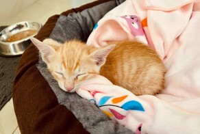 С добрым утром