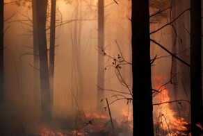 Поезд проехал через горящий лес в Бурятии
