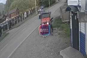 Напился и уснул за рулём