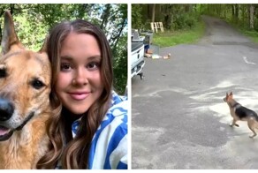 Женщина погналась за медведем, преследующим её питомца
