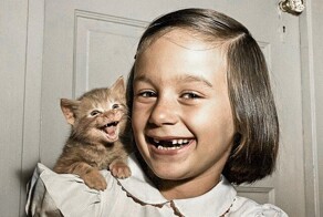 Подборка смешных и забавных фотографий с котами, которые поднимут настроение