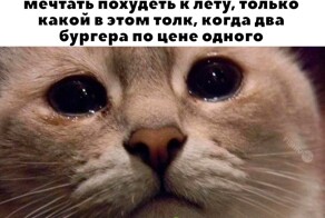 Скрины из соцсетей            