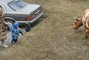 Доброе дело без награды не останется