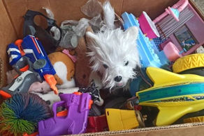 Владелец обеспечил себя до конца жизни: редкая игрушка продана за 525 000 долларов