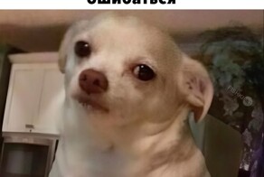 Скрины из соцсетей            