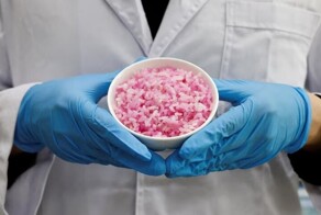 Как корейские учёные выращивают мясо внутри риса