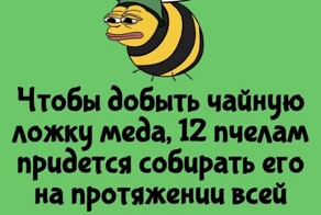А вдруг ты не знал…