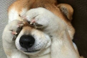 Наши стесняши