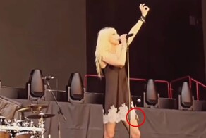 Летучая мышь укусила певицу на концерте