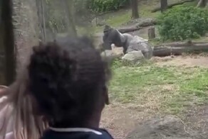 Зрительный контакт установлен