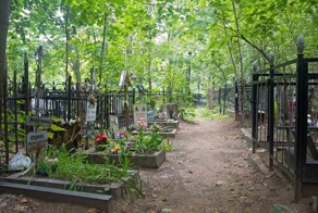 В Ставропольском крае две цыганки избили до смерти пенсионера, который отказался заниматься с ними сексом