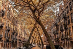 13 фотографий, которые оценят любознательные люди