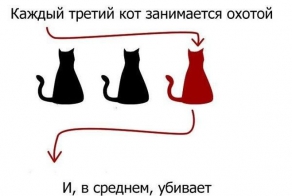 А что вы знаете про своего кота? (9 фото)
