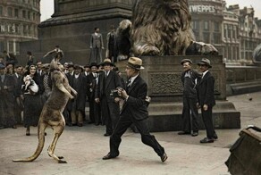 Удивительные и забавные ретро фотографии с животными
