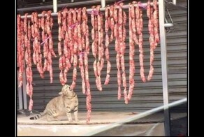 Демотиваторов пост: "Счастье есть!"