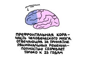 А вдруг ты не знал…