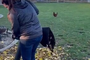 Убиравшую листья женщину ждало разочарование