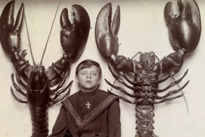 15 редких и любопытных исторических фотографий