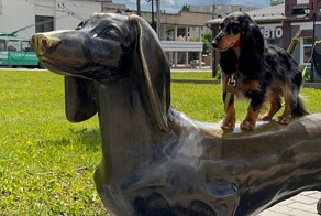 На общую тему 