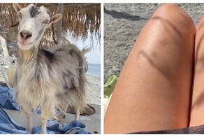 Козёл подмигнул девушке на пляже