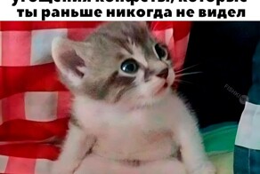 Не ищите здесь смысл. Здесь в основном маразм