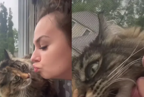 Кот показал, насколько ему чужды хозяйские поцелуи