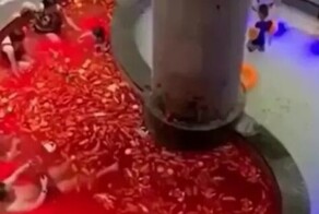 Бассейн с перцем в китайском отеле