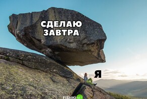 Скрины из соцсетей            