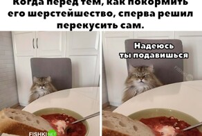 Не ищите здесь смысл. Здесь в основном маразм