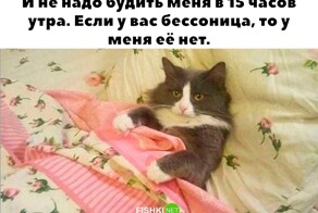 Продолжаем барражировать соцсети