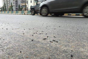 Дорожные войны в Индии между «сеятелями» и собирателями