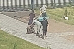 "Будьте людьми!": в Москве мусульманам помешали резать баранов в парке и на площадке в ЖК