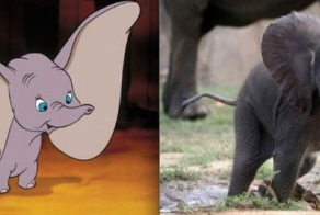 Ожившие диснеевские животные (21 фото)