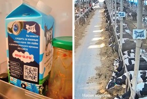 12 необычных реклам, которые подняли маркетинг на новый уровень