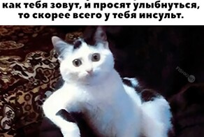 Не ищите здесь смысл. Здесь в основном маразм