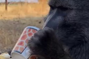 Пятничный утренний перекус