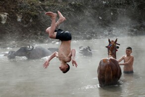 На общую тему&nbsp;